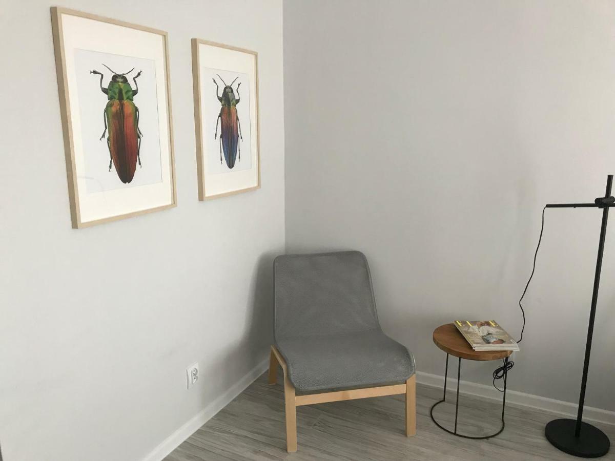 Apartament Kilinskiego 9 شفيدنيتسا المظهر الخارجي الصورة